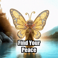 Inner Peace Wisdom GIF by BuddhaFlyJourney