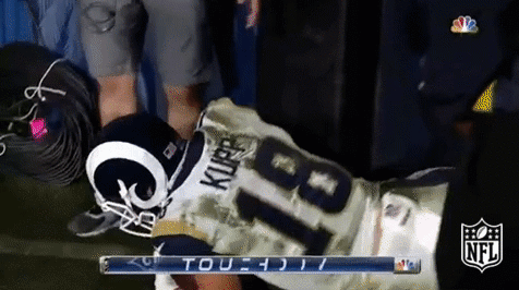Los Angeles Rams Football GIF by NFL