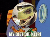 Kelp Krew My Diet Dr Kelp GIF