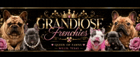 French Bulldog Logo GIF by Grandiose Frenchies