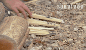Counting Sticks GIF by Australian Survivor
