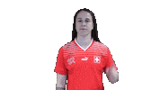 Link Switzerland Sticker by Swiss Football Association