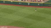 Ole Miss Baseball GIF by NCAA Championships