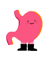 Sammy Stomach Sticker by Guts Charity UK
