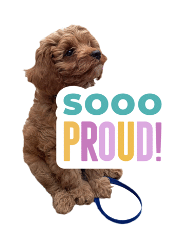 Happy Dog Sticker by theinstagramexpert