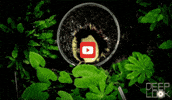 GIF by KQEDScience
