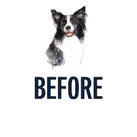 Before And After Dogs Sticker by puppytales