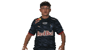 Rb Leipzig Cheering Sticker by Bundesliga