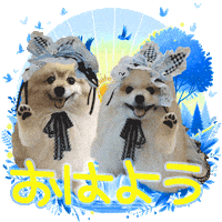 Good Morning 犬 Sticker