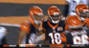 Cincinnati Bengals Football GIF by NFL