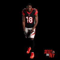 Cincinnati Bengals Football GIF by Bengals