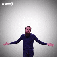 No Idea What GIF by SWR3