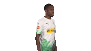 Posing Line Up Sticker by Bundesliga