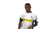 borussia moenchengladbach yes Sticker by Bundesliga