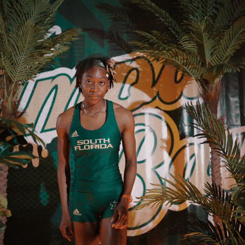 South Florida Horns Up GIF by USF Athletics