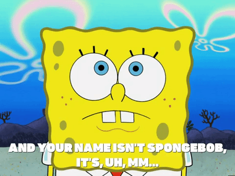 season 5 GIF by SpongeBob SquarePants