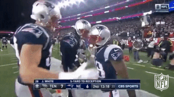 New England Patriots Football GIF by NFL