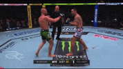 Conor Mcgregor Ufc GIF by Respective