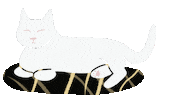 Tired White Cat Sticker