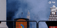 Stanley Cup Sport GIF by NHL