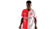 Football Soccer Sticker by SK Slavia Praha