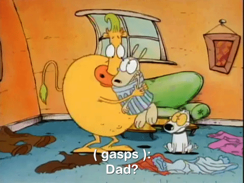 rockos modern life nicksplat GIF