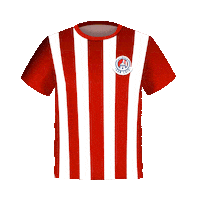 San Luis Futbol Sticker by Telcel