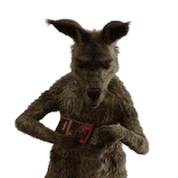 Kangaroo Kanguru Sticker by Die Känguru Chroniken