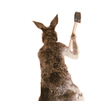 Kanguru Sticker by Die Känguru Chroniken