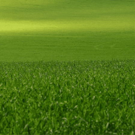 Home Run Running GIF by TeaCosyFolk