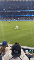 Fan Gets Tackled During On-Field Marriage Proposal