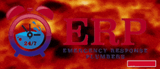 emergencyresponseplumbers  GIF