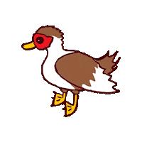 Ducks Waterfowl Sticker