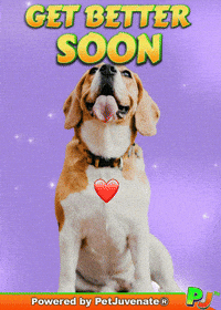 Get Well Soon GIF by PetJuvenate - PJ