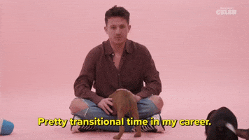 Pretty Transitional Time