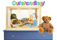 Expressions Compliments GIF