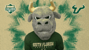 Shocked College Sports GIF by College Colors Day