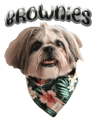 Dog Brownies Sticker