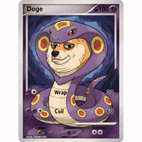 Shiba Inu Lol GIF by Doge Pound