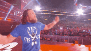 Summerslam 2018 Reaction GIF by WWE
