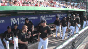 eudy checkmeout GIF by Kane County Cougars