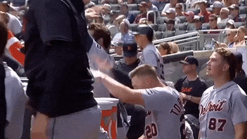 Happy Detroit Tigers GIF by Bally Sports Detroit