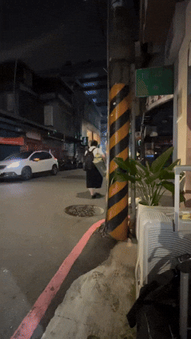 cuteanimalland giphyupload GIF