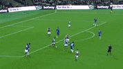 west ham GIF by West Ham United