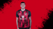 Happy Football GIF by AFC Bournemouth