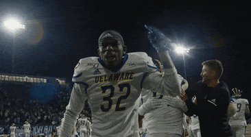 Game Over Football GIF by Delaware Blue Hens