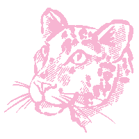 Shop Small Leopard Print Sticker by Made590