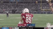 Arizona Cardinals Football GIF by NFL