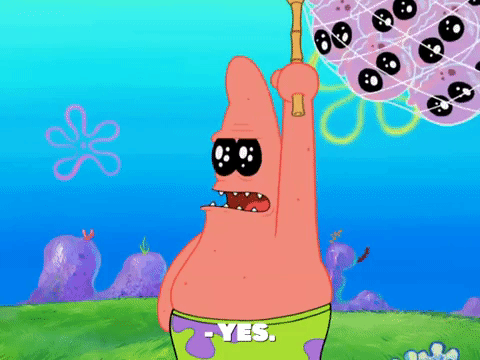 season 8 GIF by SpongeBob SquarePants
