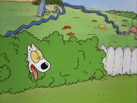 rockos modern life nicksplat GIF